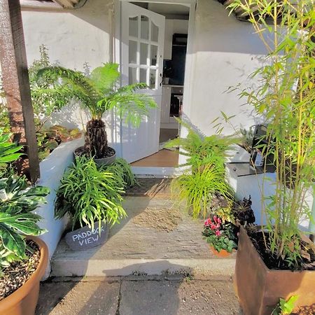 Idyllic Cornish Cottage, Superking Bed, Private Garden Dogs Welcome Truro Exteriör bild