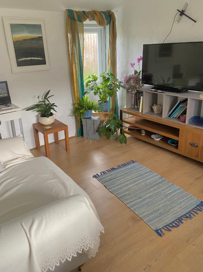 Idyllic Cornish Cottage, Superking Bed, Private Garden Dogs Welcome Truro Exteriör bild