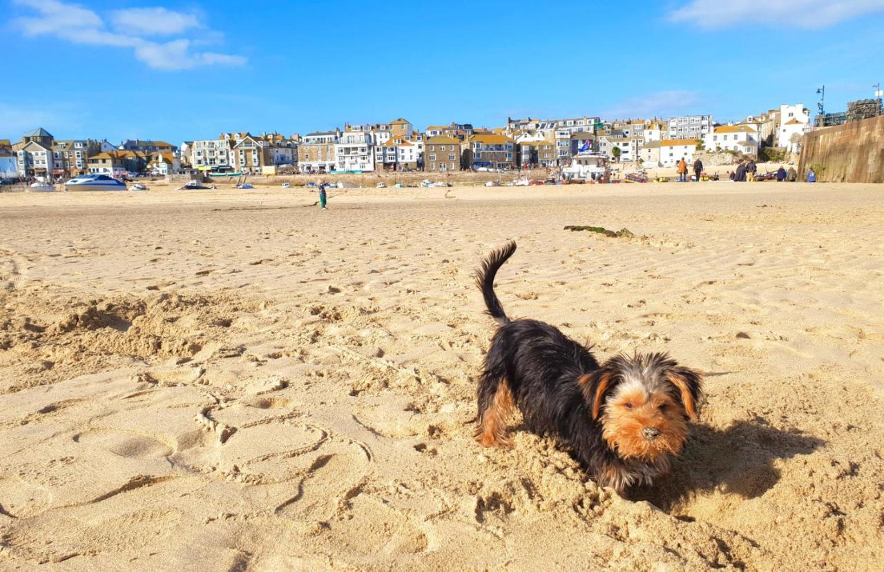 Idyllic Cornish Cottage, Superking Bed, Private Garden Dogs Welcome Truro Exteriör bild