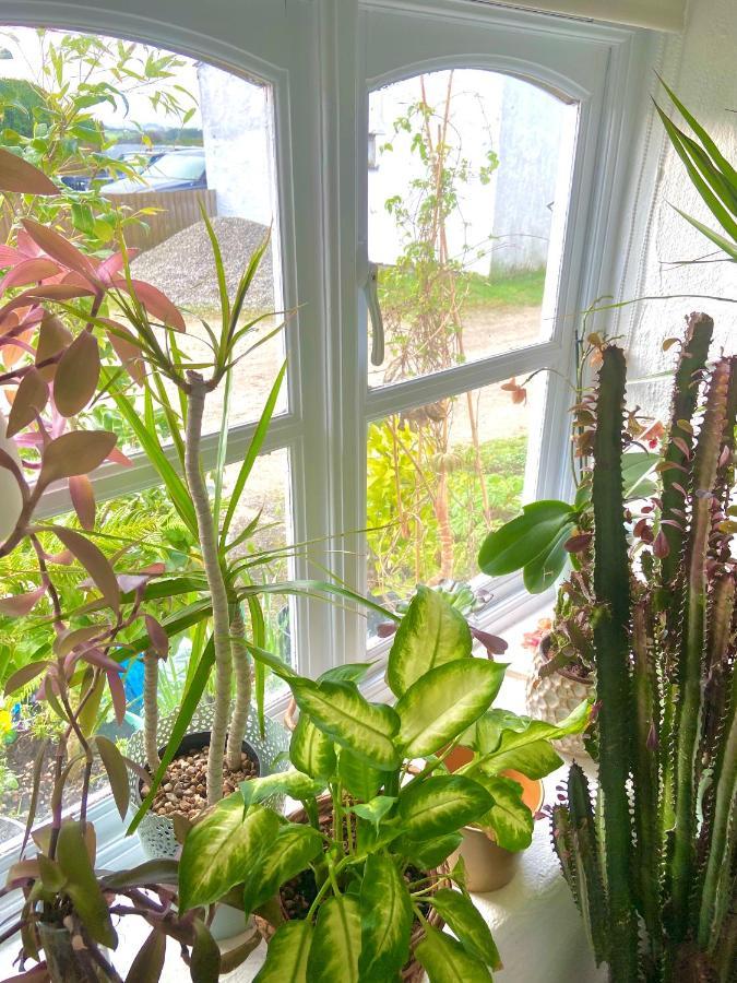 Idyllic Cornish Cottage, Superking Bed, Private Garden Dogs Welcome Truro Exteriör bild